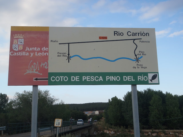 Coto Pino del Río