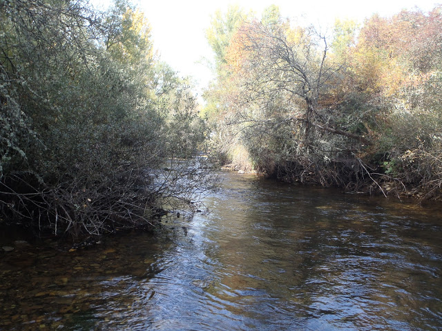 Despedida de la temporada, río Porma